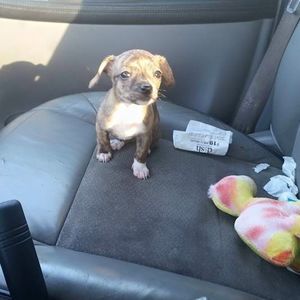 Meet your Posher, Danna